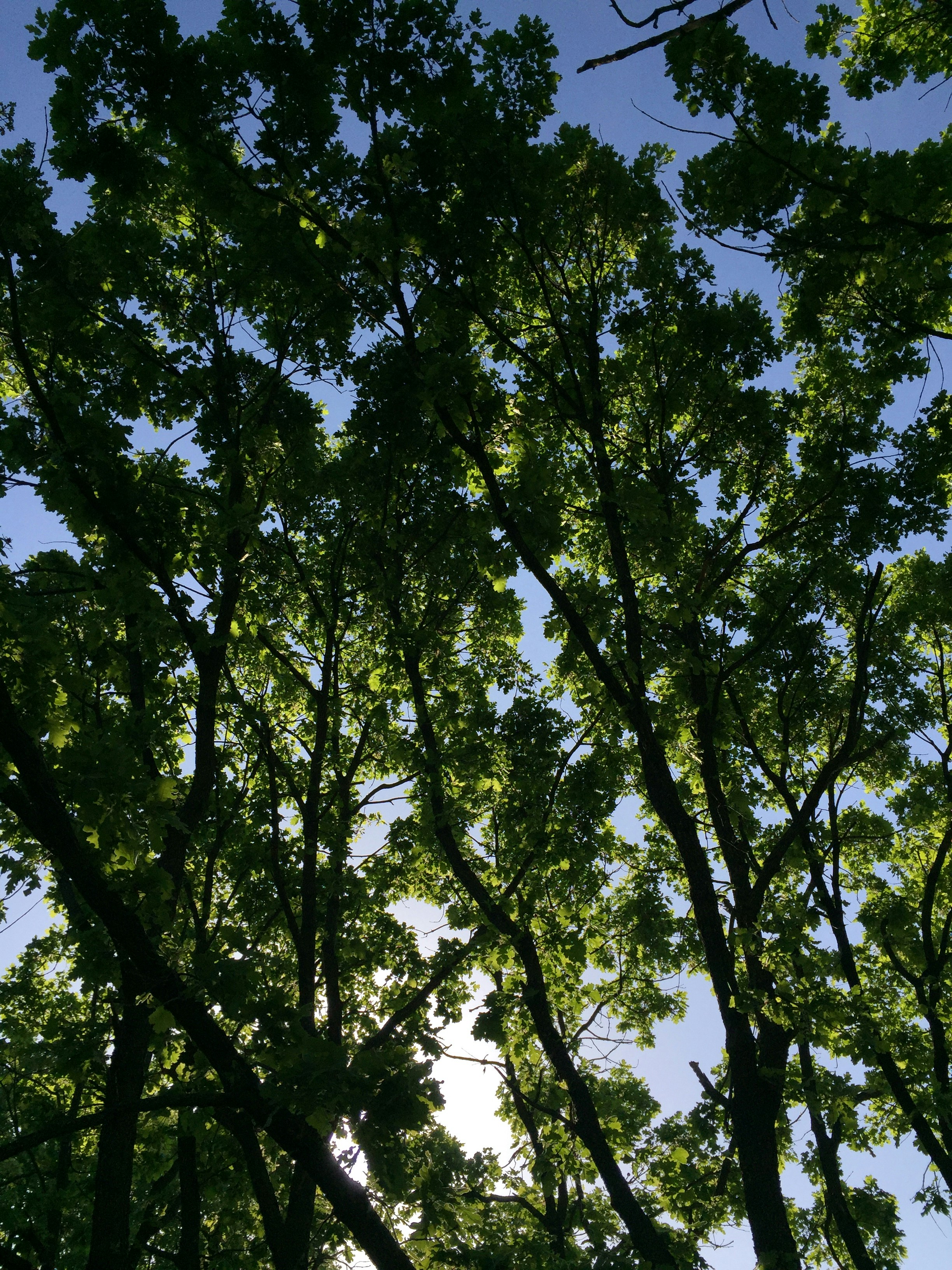 rahiq ali (@rahi_0q) | Unsplash Photo Community