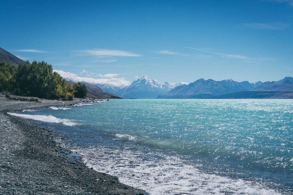 alberi verdi vicino allo specchio d'acqua durante il giorno