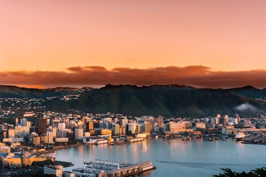 aerial view of city buildings during sunset in Wellington New Zealand