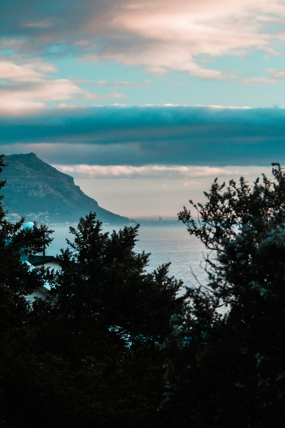 alberi verdi vicino alla montagna durante il giorno