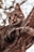brown tabby cat on brown tree