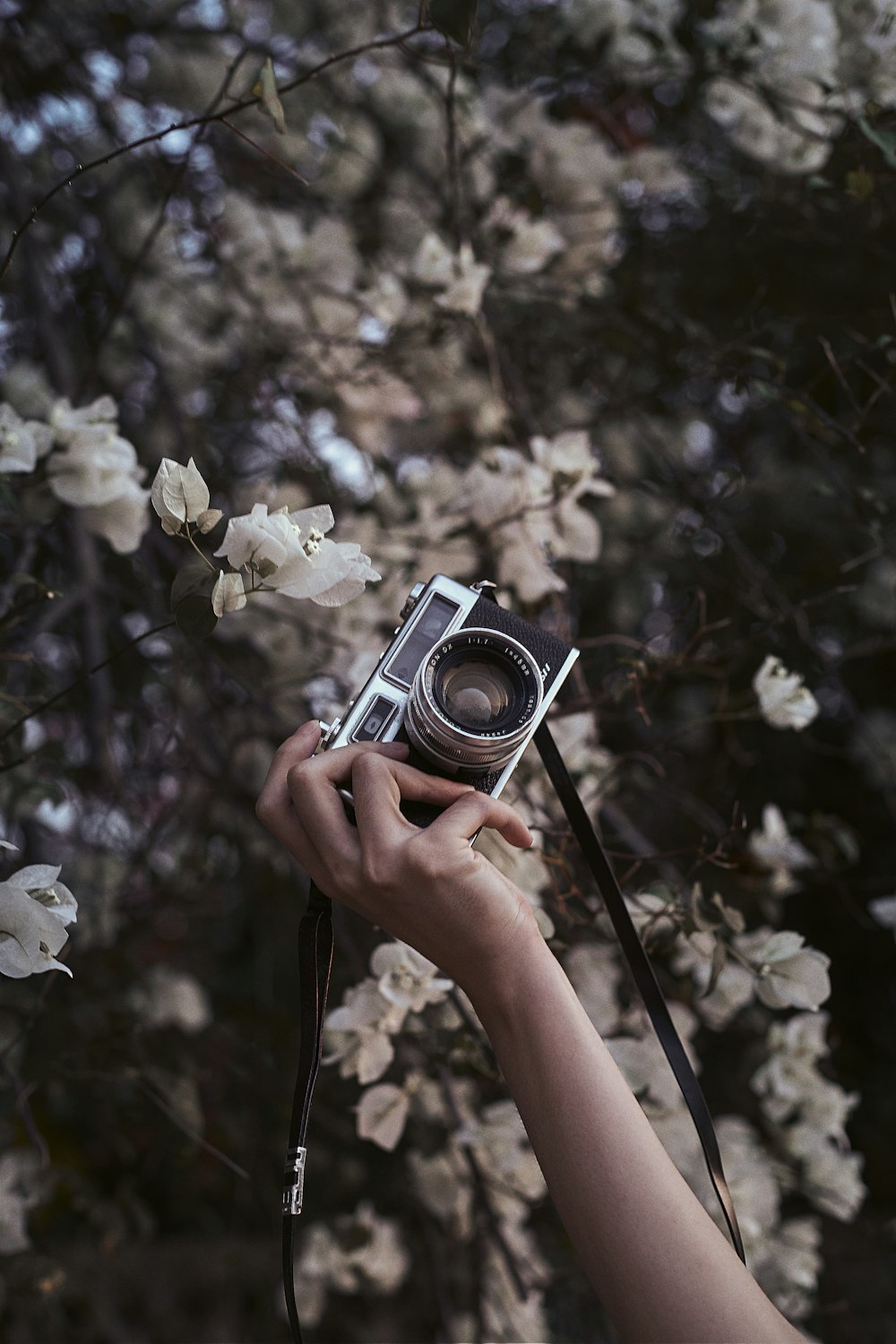 person holding silver and black camera