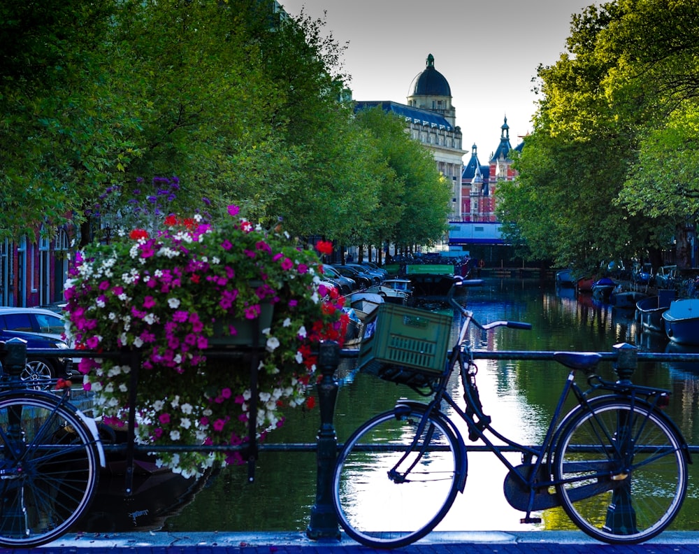 bicycle parked beside river with trees and buildings in distance