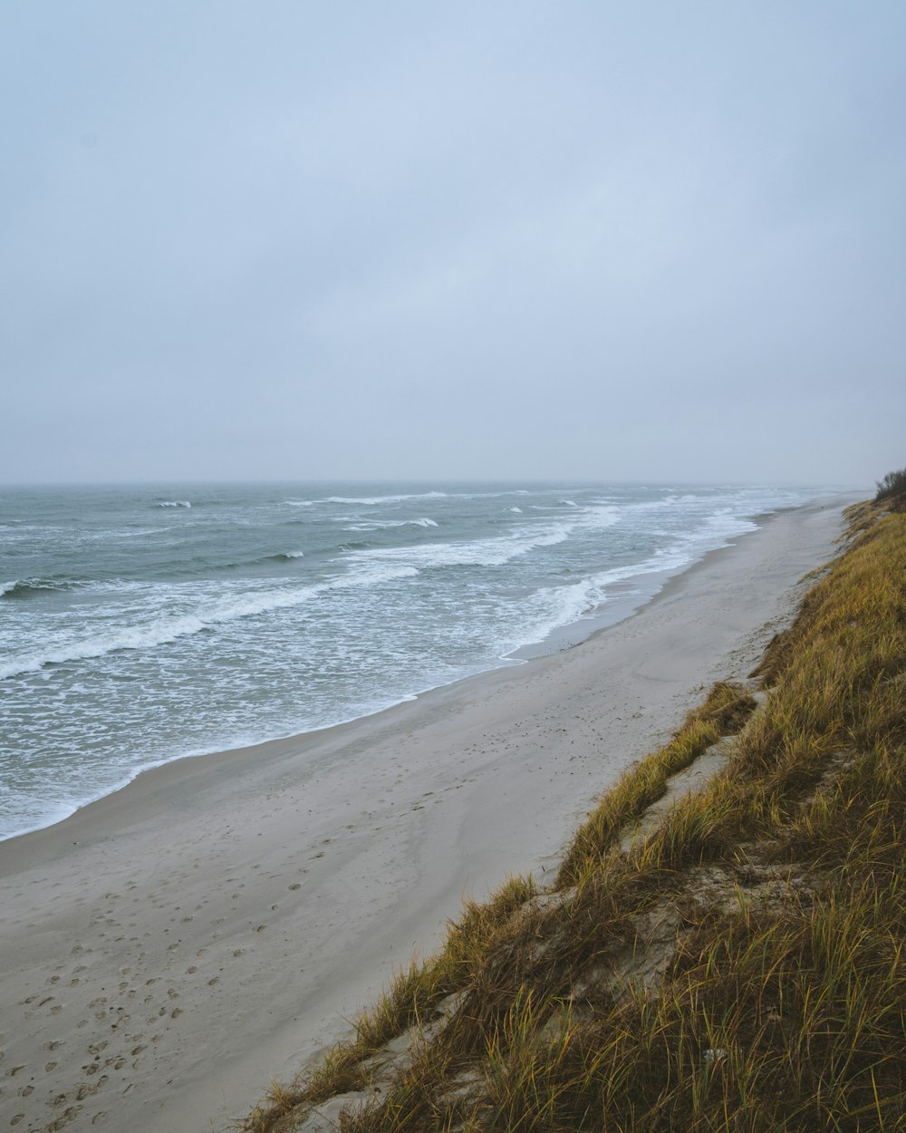 green grass near sea under cloudy sky during daytime