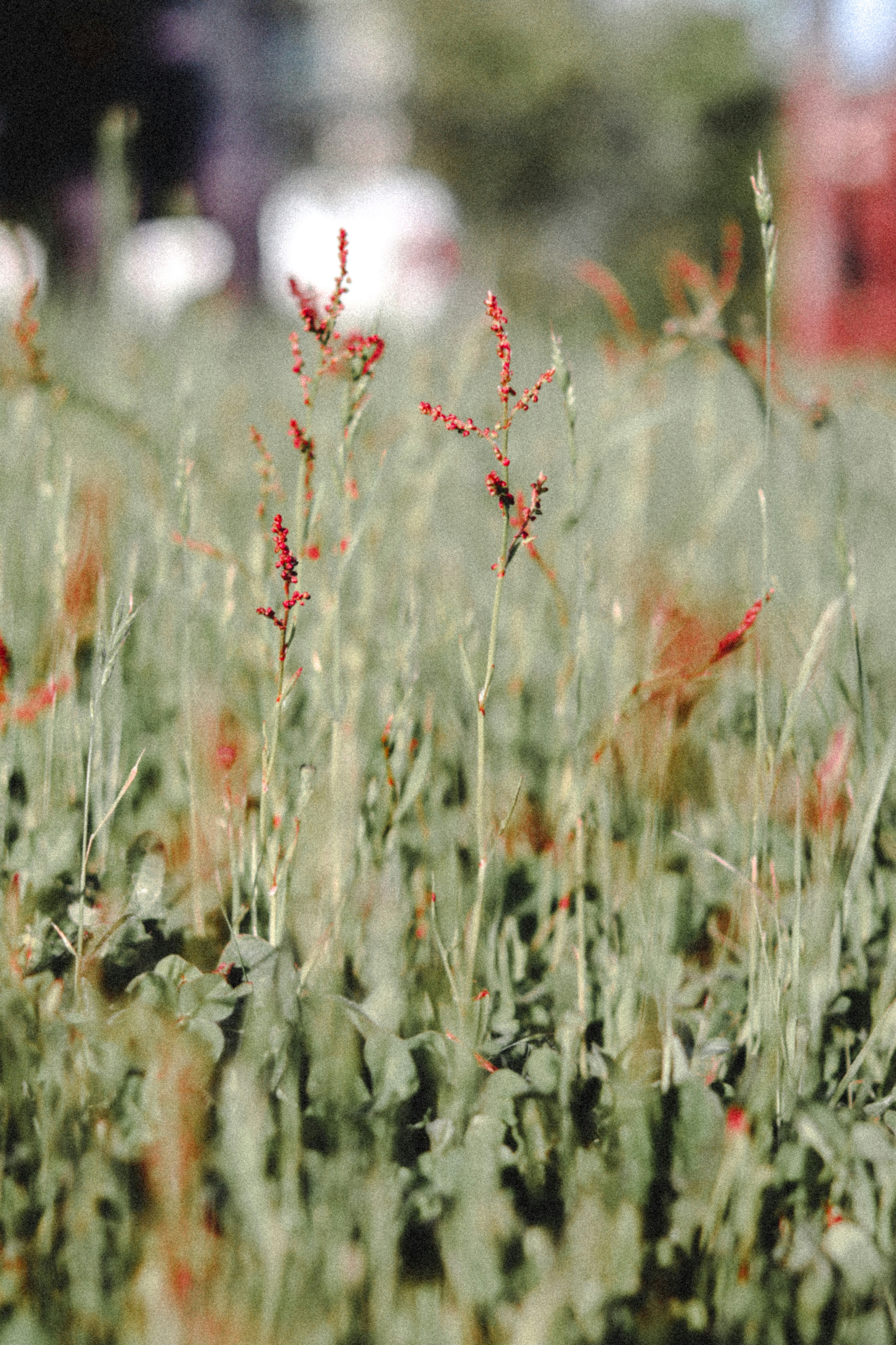 Photo by andrrewphoto