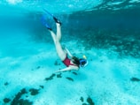 A person is diving underwater wearing a snorkel and fins. The clear blue water reveals a sandy sea floor scattered with dark rocks and small patches of coral. The person is facing downwards, gracefully extending their arms and legs in a relaxed, exploratory pose.