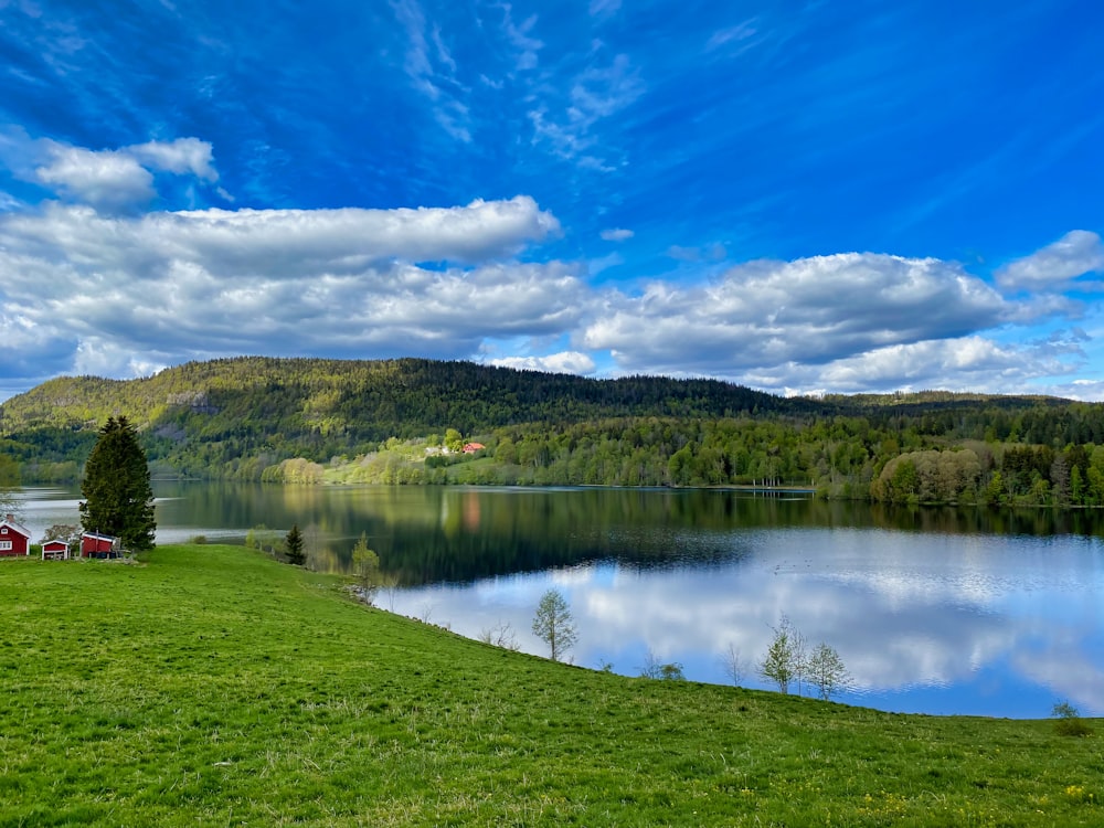 낮에는 푸른 하늘과 흰 구름 아래 푸른 잔디밭과 나무로 둘러싸인 호수