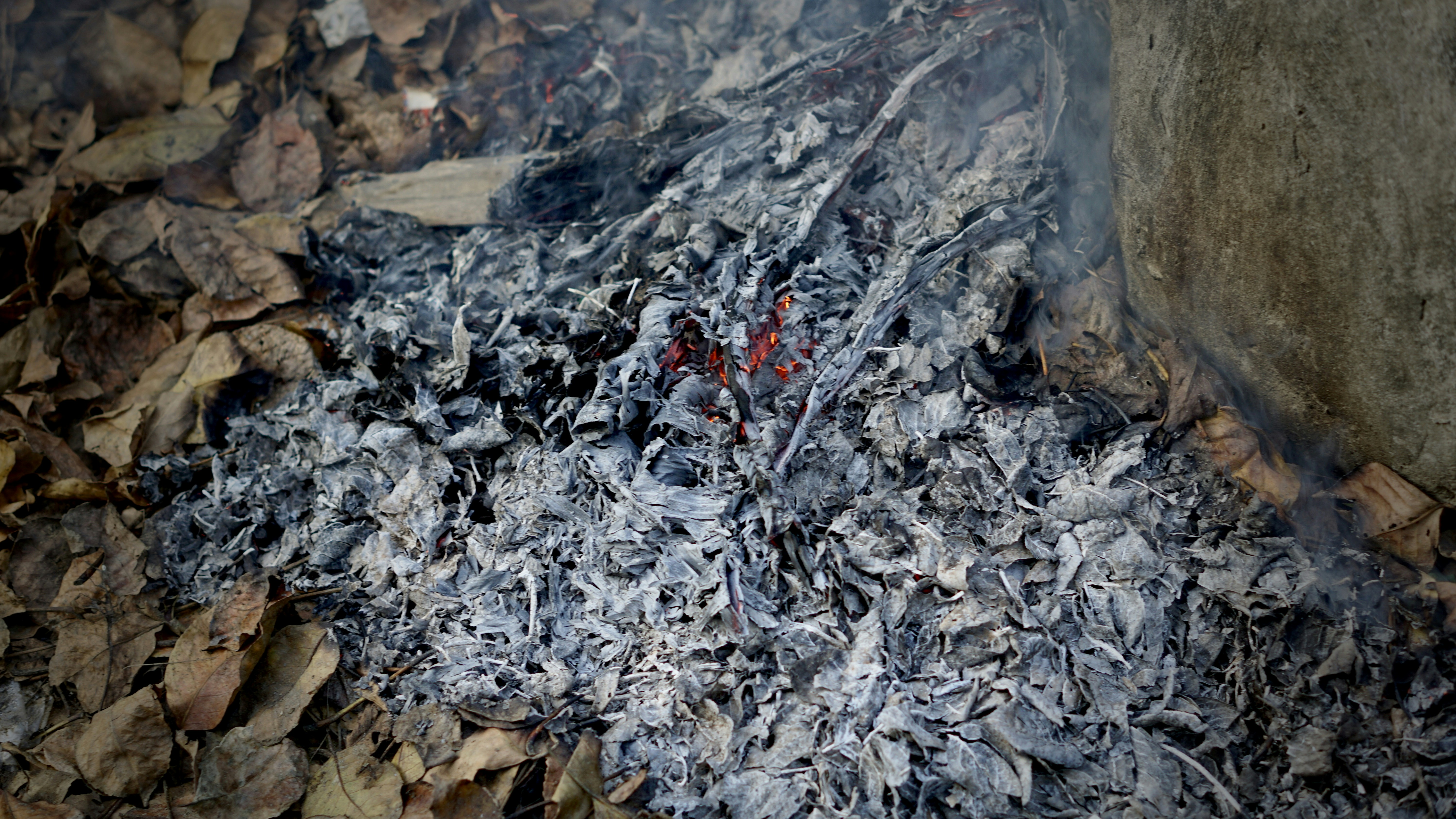 photo 1589880979766 c6b3d394819b?ixlib=rb 4.0