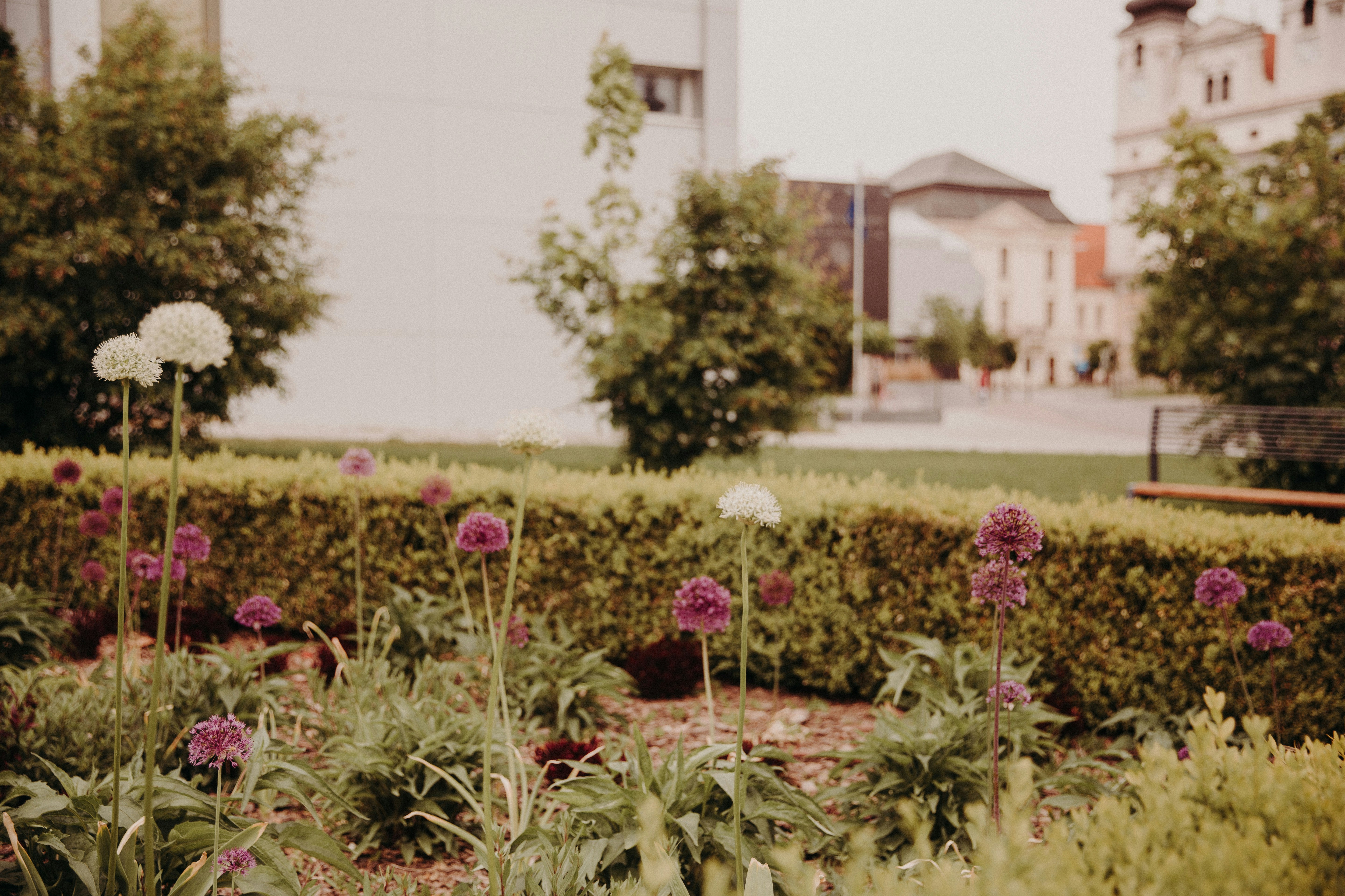 Photo by trnavskauni