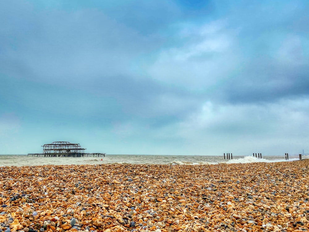 people on beach under cloudy sky during daytime