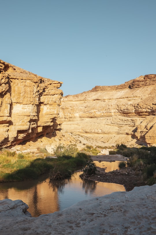 brown rock formation near body of water during daytime in Negev Israel