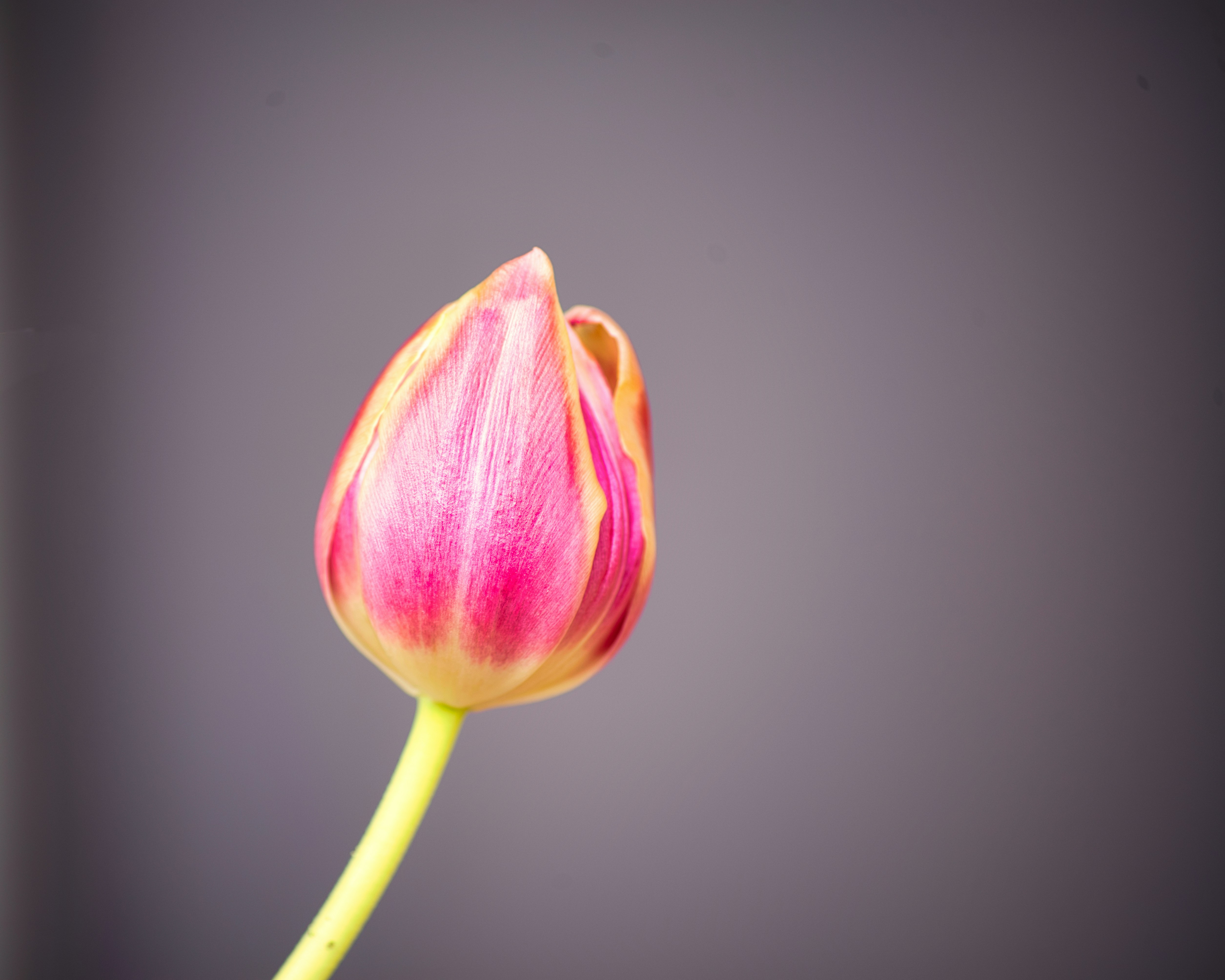 Photo by darrencoleshill