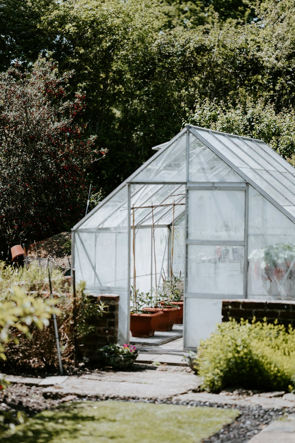 green trees and plants inside greenhouse