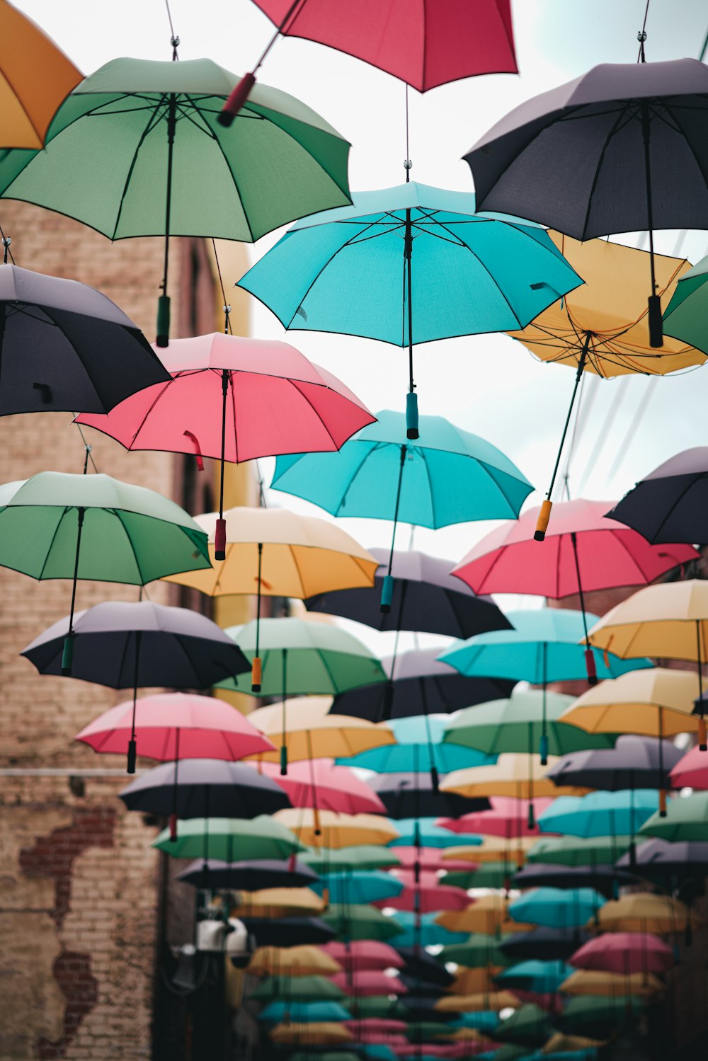 assorted umbrella hanging on wire during daytime