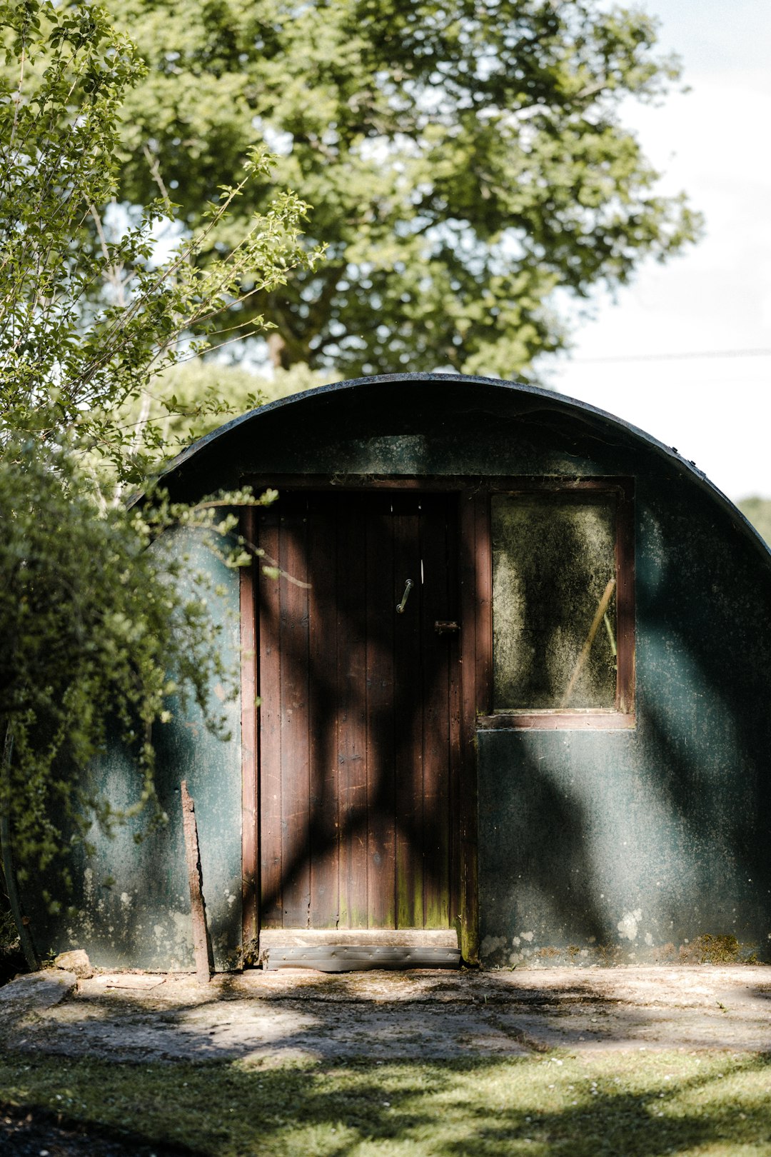 brown wooden shed near green trees during daytime