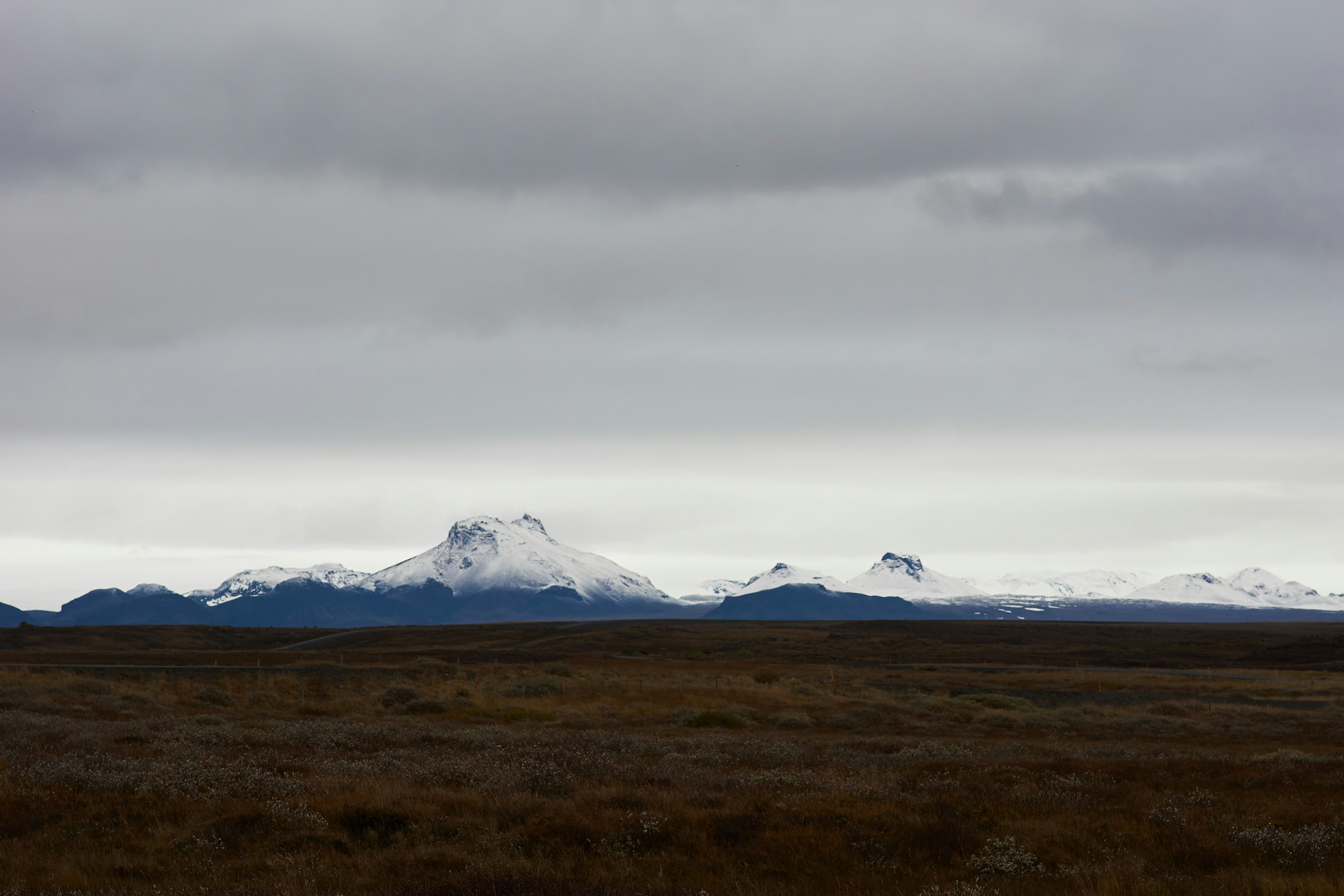 Photo by wolfgang_hasselmann