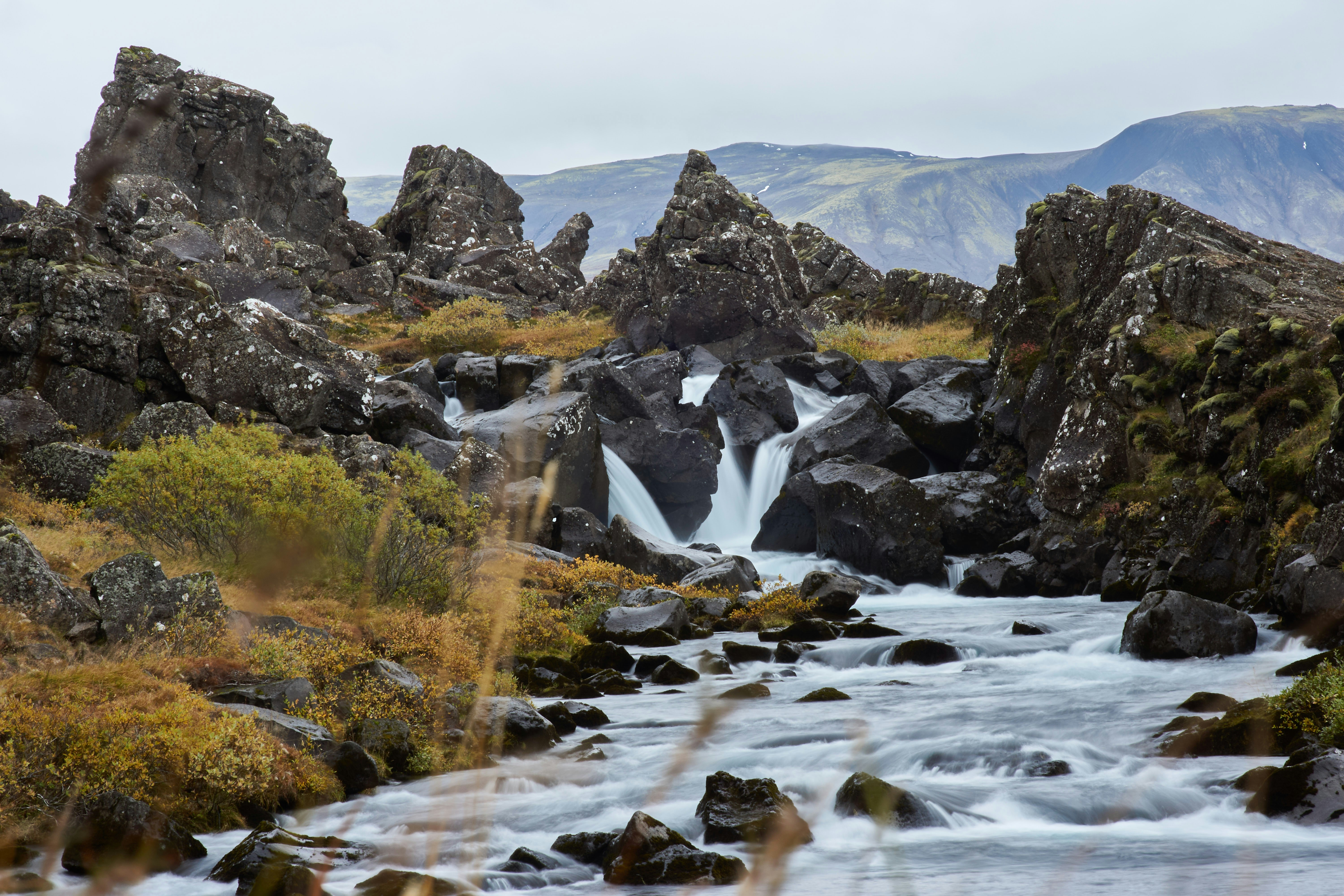 Photo by wolfgang_hasselmann