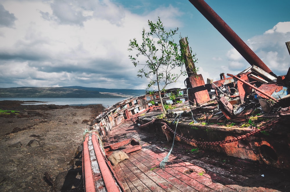 brown and white boat on brown sand during daytime