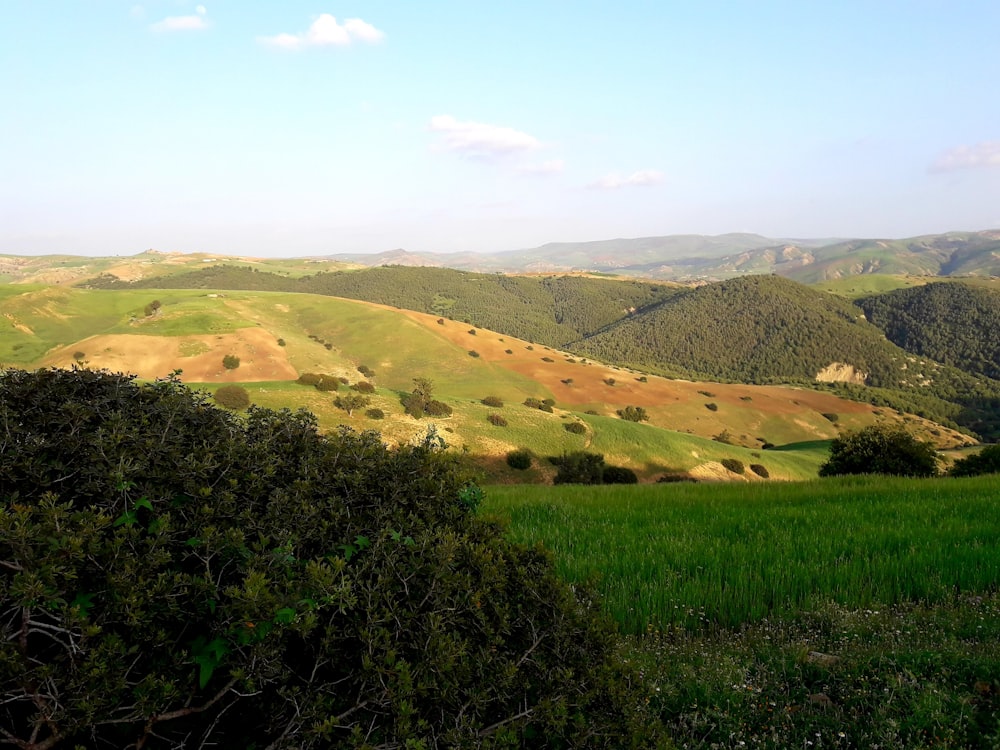 green grass field and mountains during daytime