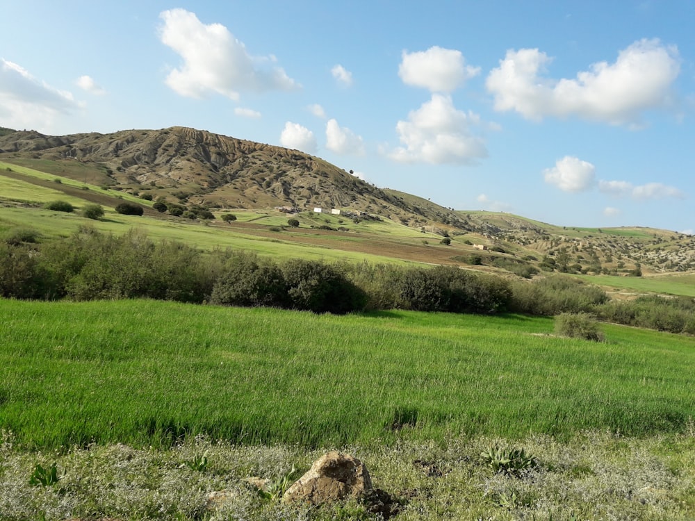 green grass field near mountain under blue sky during daytime