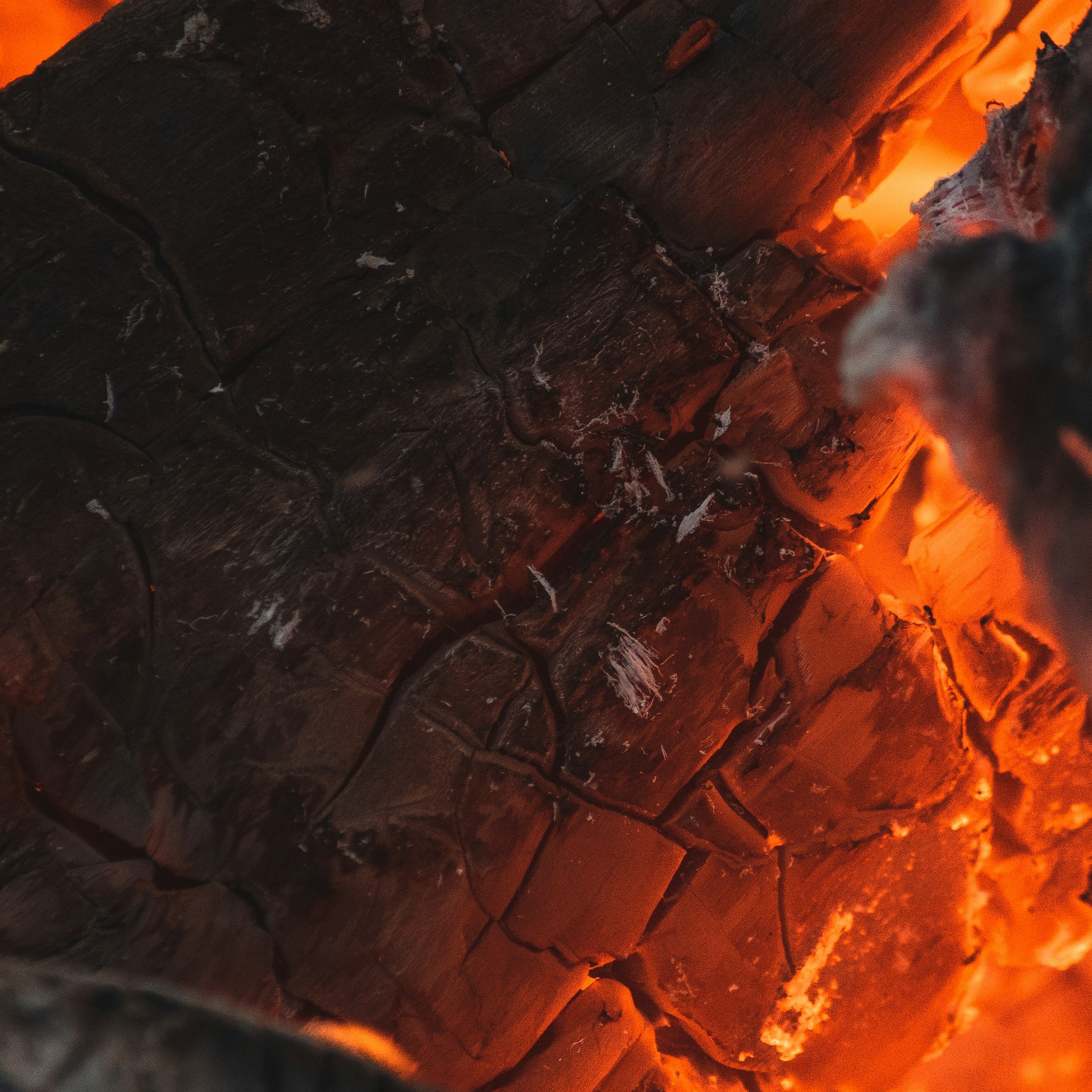 Photo by jakobustrop