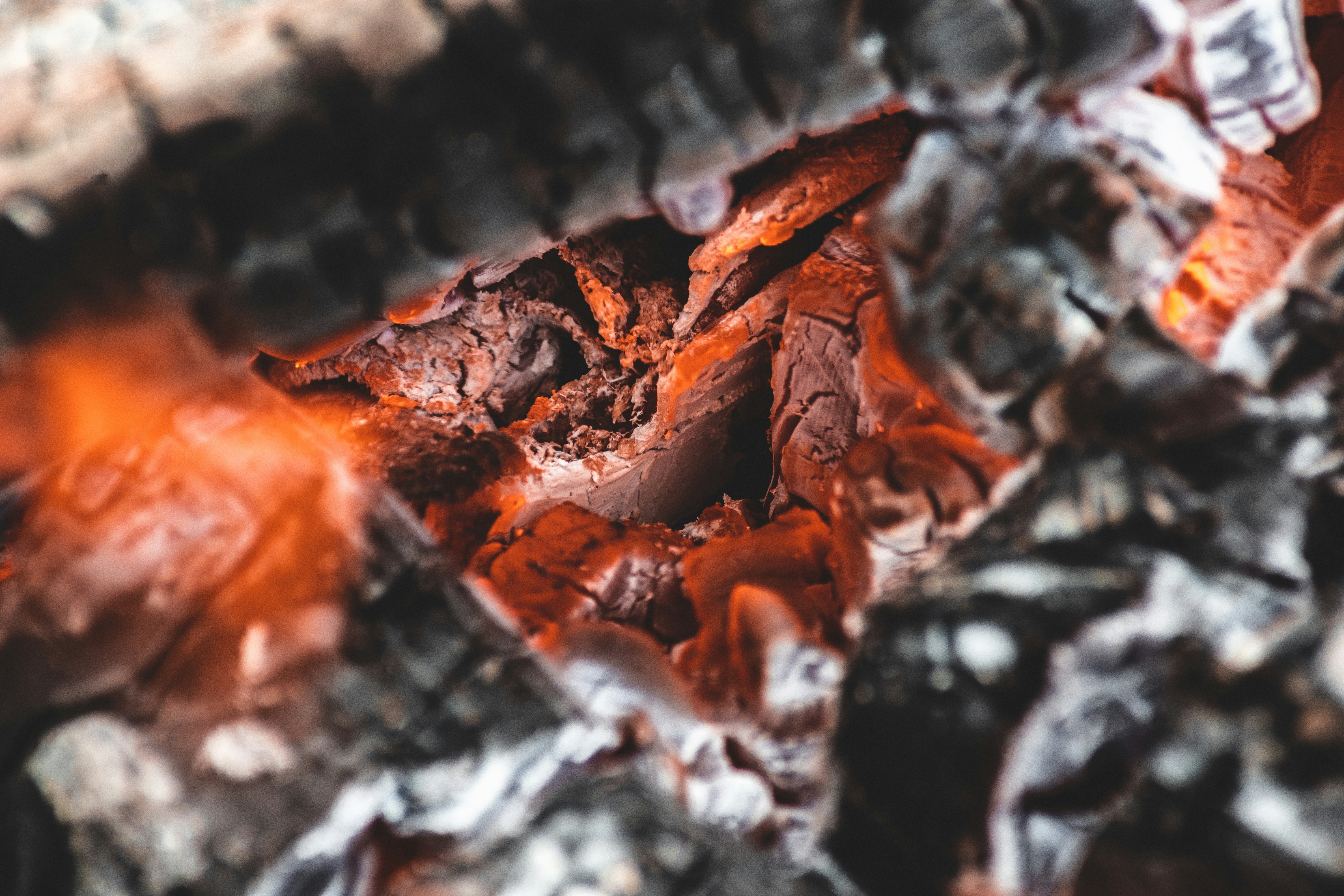 Photo by jakobustrop