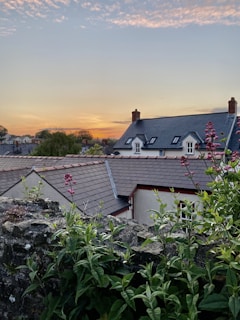 A serene sunset scene with a row of houses in the foreground, featuring gray slate roofs and white walls. The sky is filled with soft clouds and a gradient of warm colors as the sun sets on the horizon. The foreground contains green vegetation and plants growing over a stone wall, adding a natural element to the urban landscape.