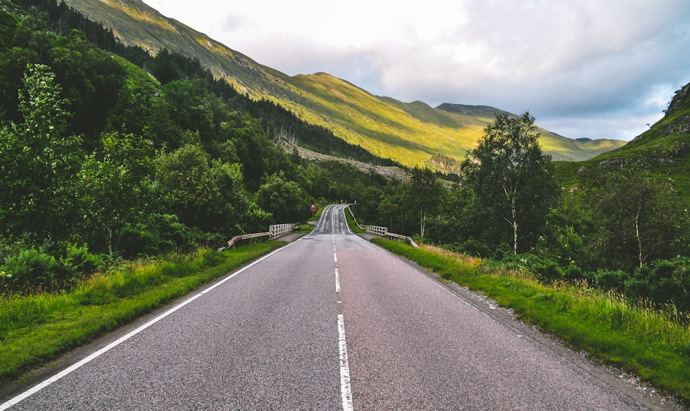 gray concrete road between green grass field and mountain during daytime