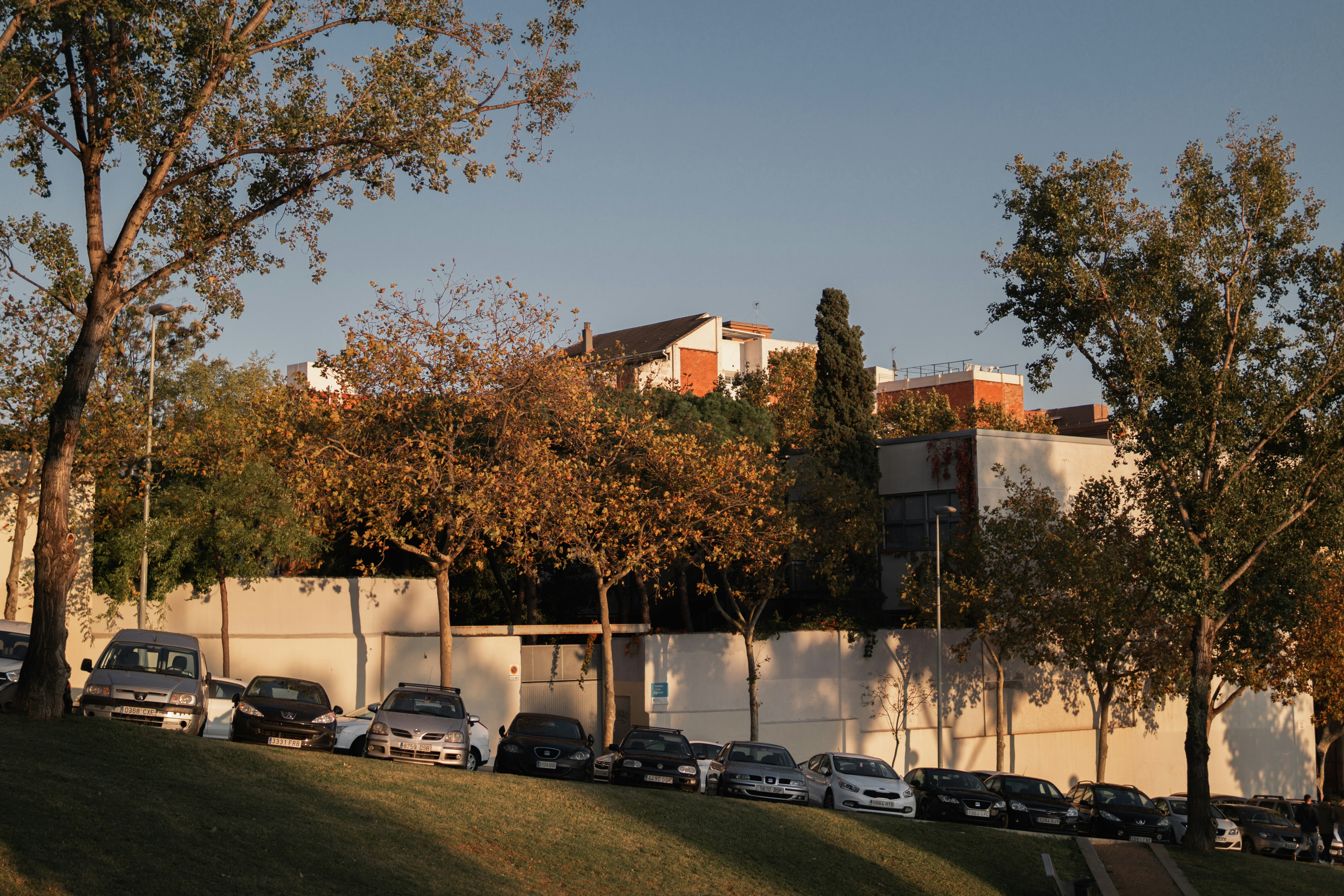 cars parked near white concrete building during daytime