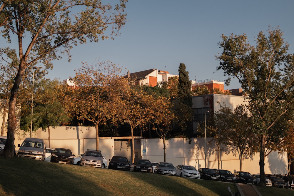 cars parked near white concrete building during daytime