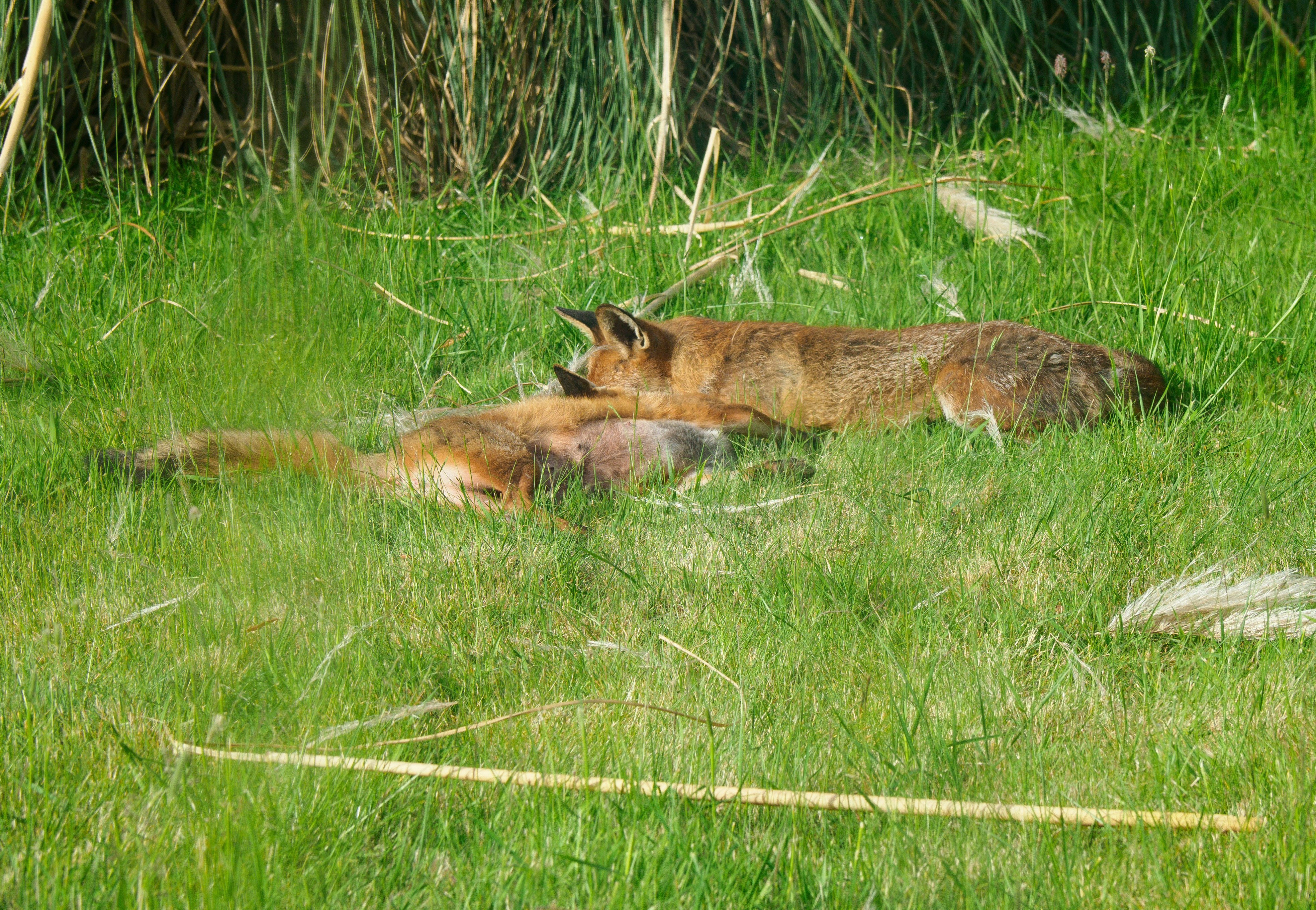 Photo by brett_jordan