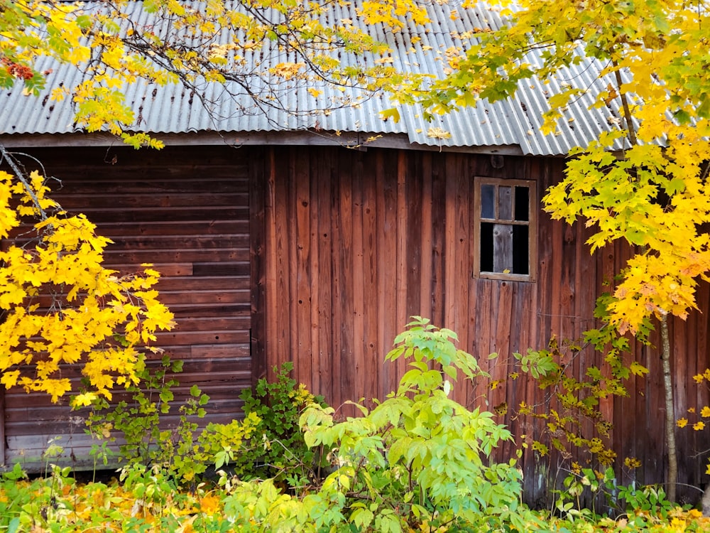 Maison en bois marron avec des fleurs jaunes