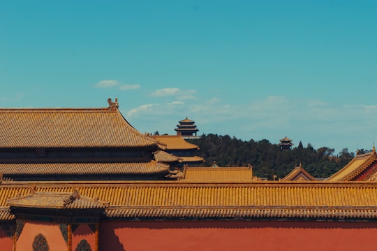 brown and white concrete building under blue sky during daytime in Forbidden City China