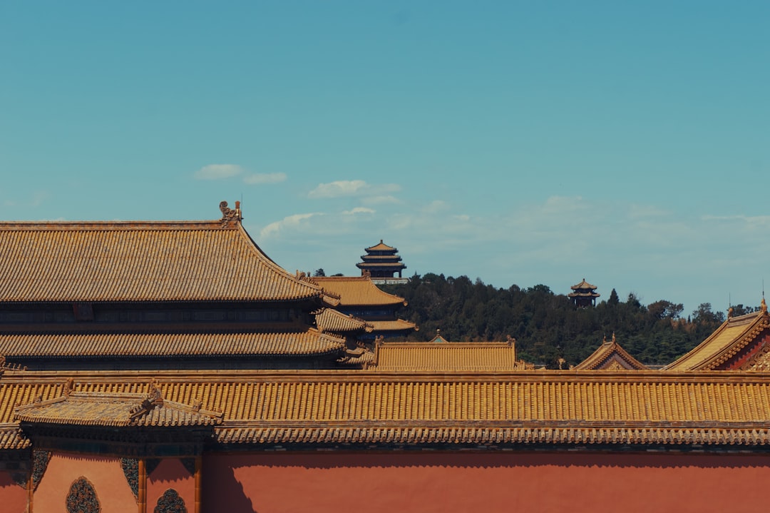 Ni Hao and Beyond: 10 Basic Chinese Words and Phrases to Know Befor… — Ni Hao and Beyond, photo 3