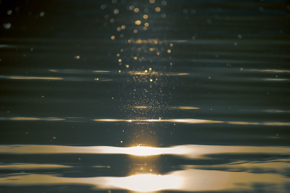 water droplets on body of water during daytime