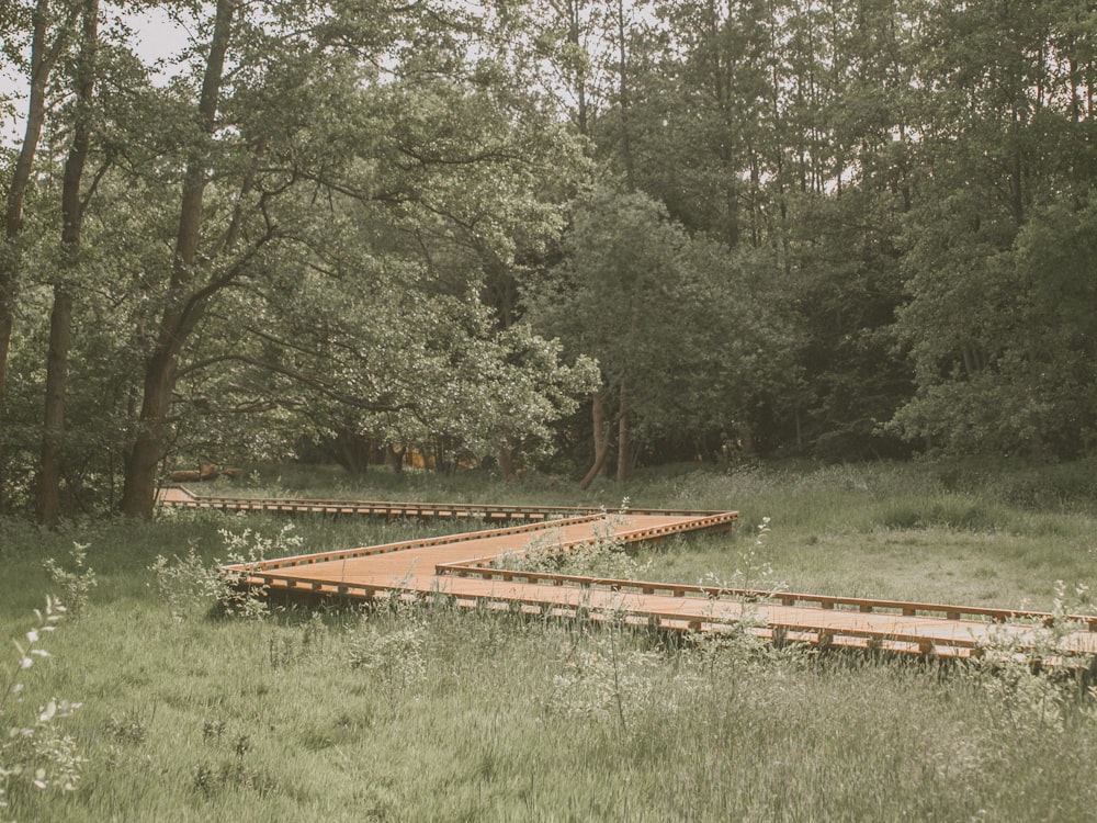 brown train rail near green trees during daytime