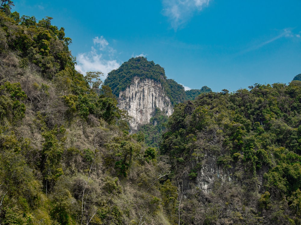 green trees on mountain under blue sky during daytime