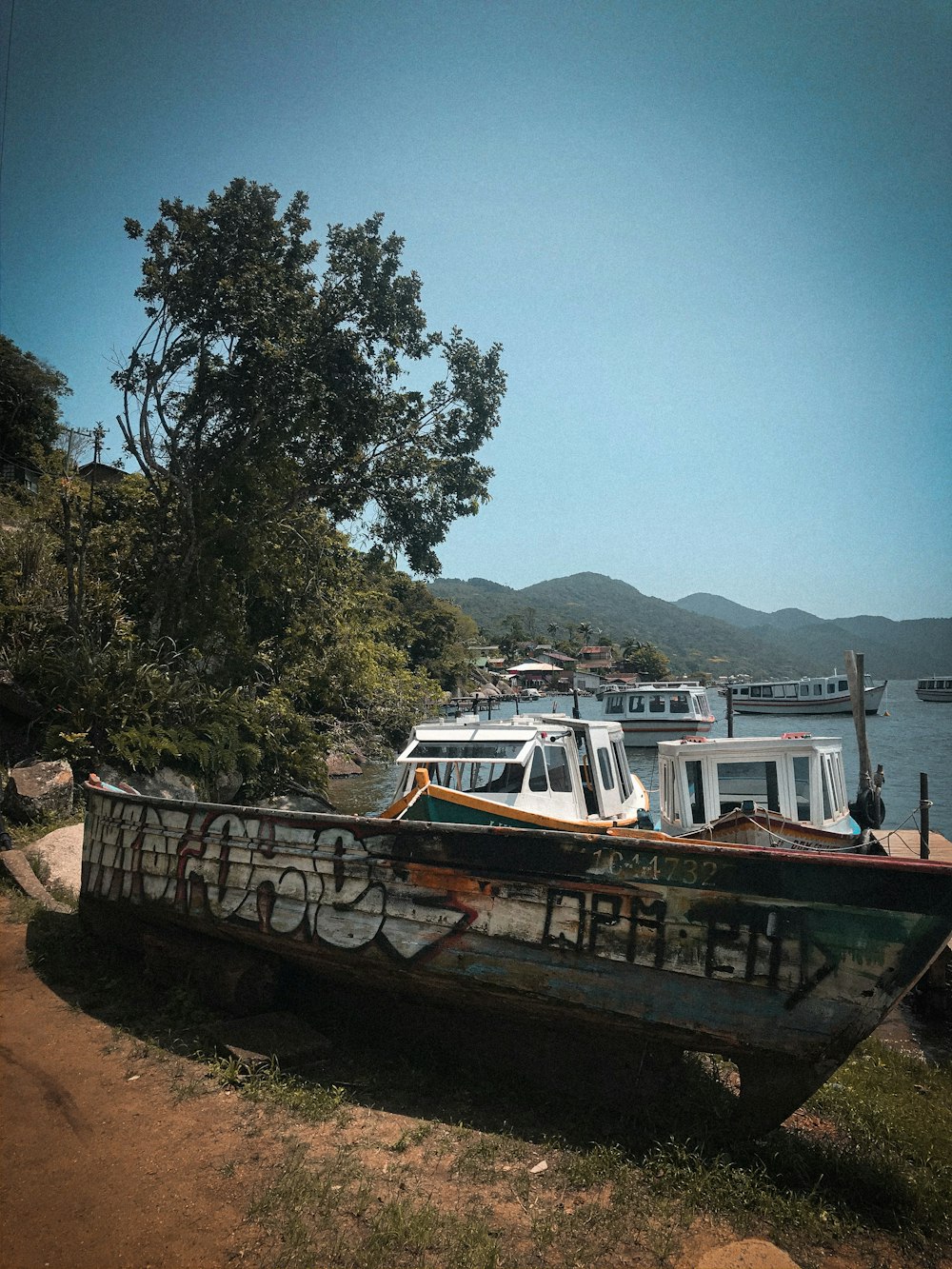 brown and white boat on brown sand near green trees during daytime