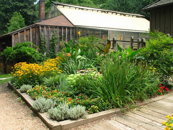 A lush garden with a variety of colorful flowers and tall grasses arranged in a raised wooden bed. In the background, there is a greenhouse with a sloped roof and a wooden structure adjacent to it. The setting conveys a natural and serene environment, enhanced by the vibrant green foliage and bright floral colors.