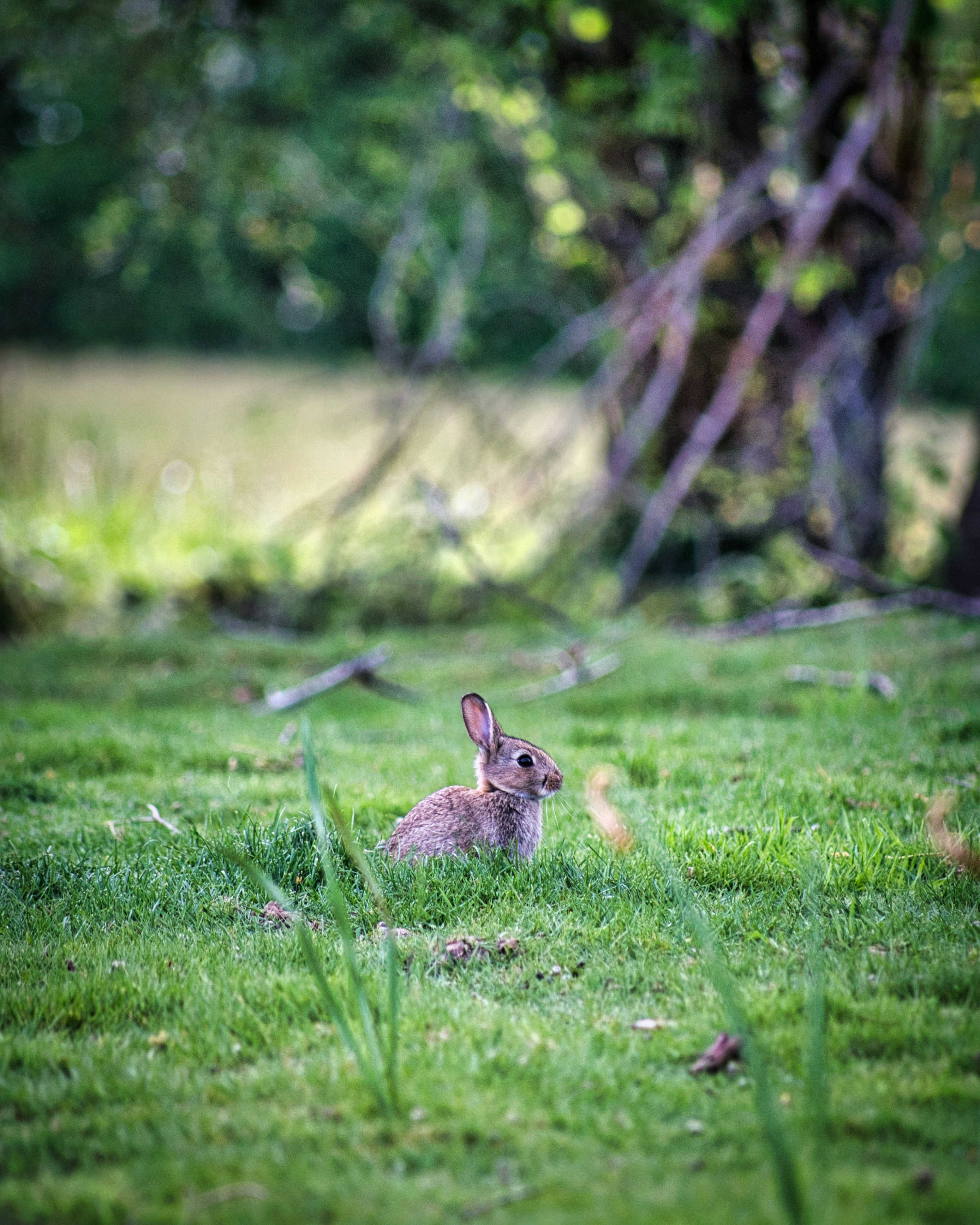 Photo by darrencoleshill