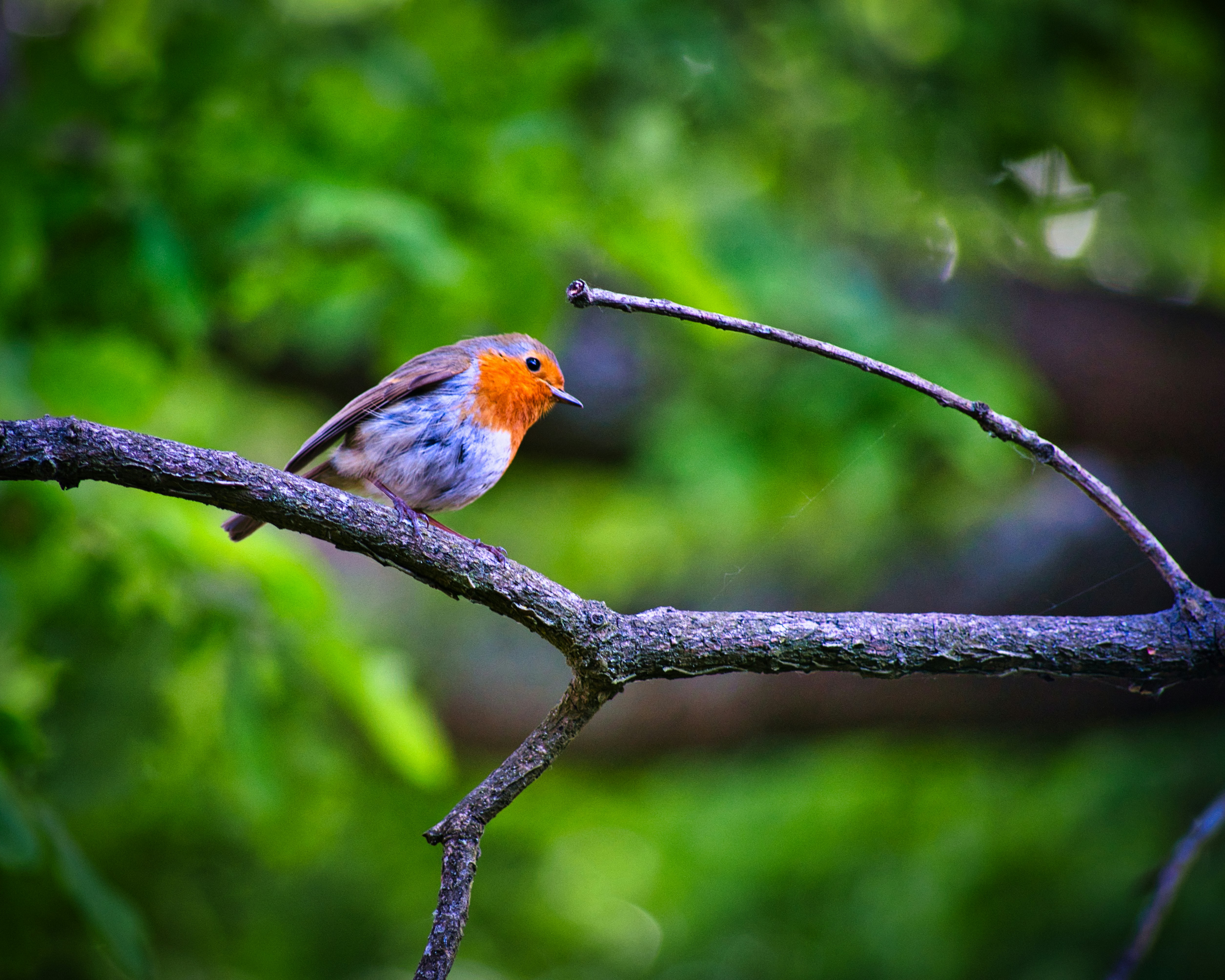 Photo by darrencoleshill