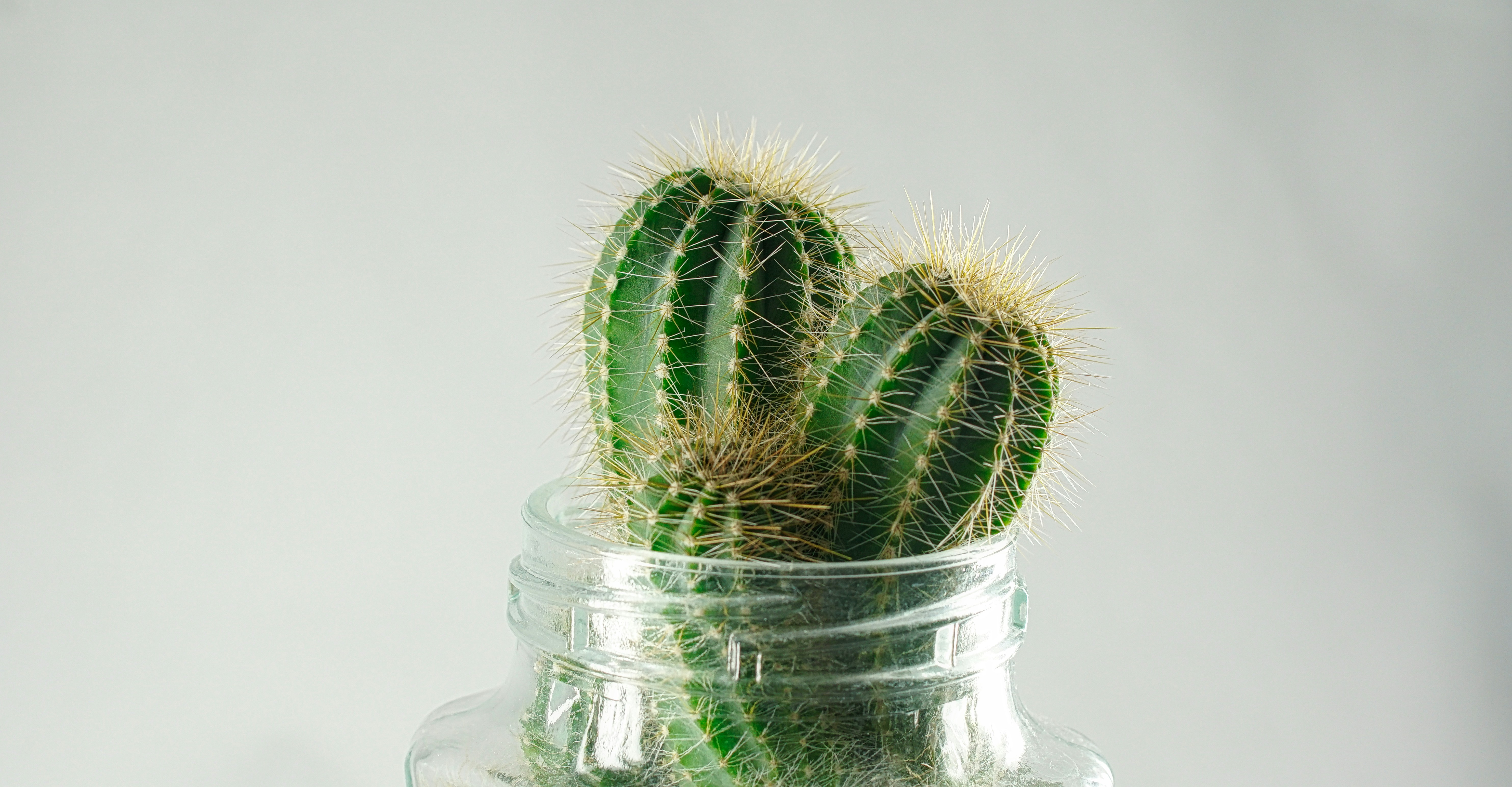 Photo by thomaskinto