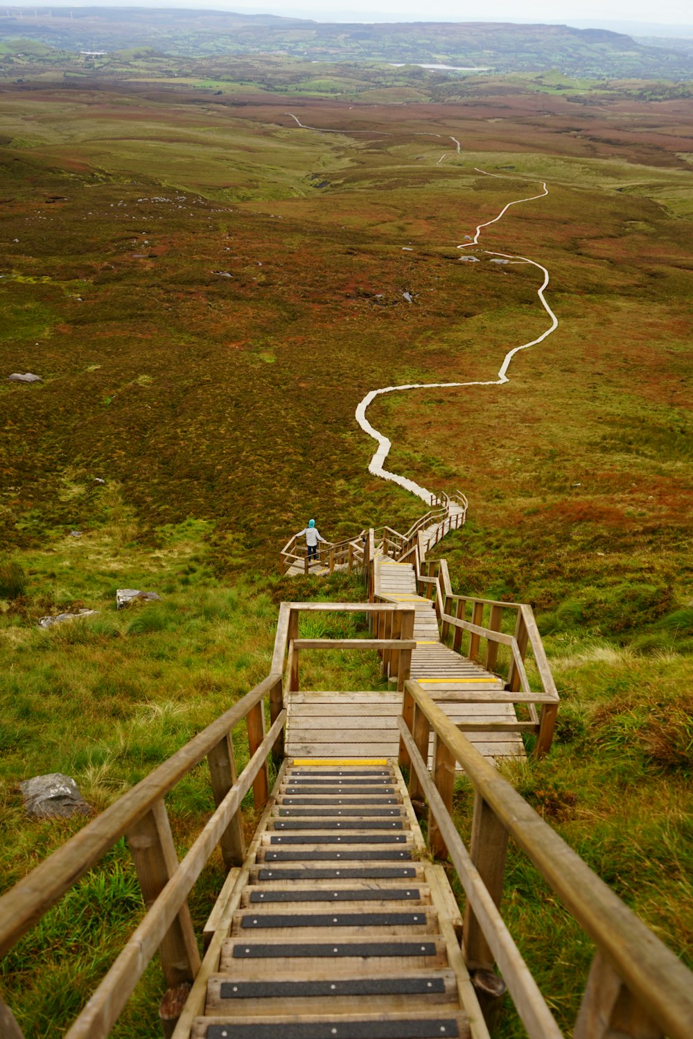 people walking on brown wooden stairs on green grass field during daytime