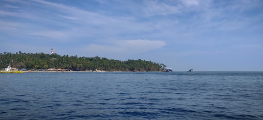 green trees on island during daytime in North Bay Island India