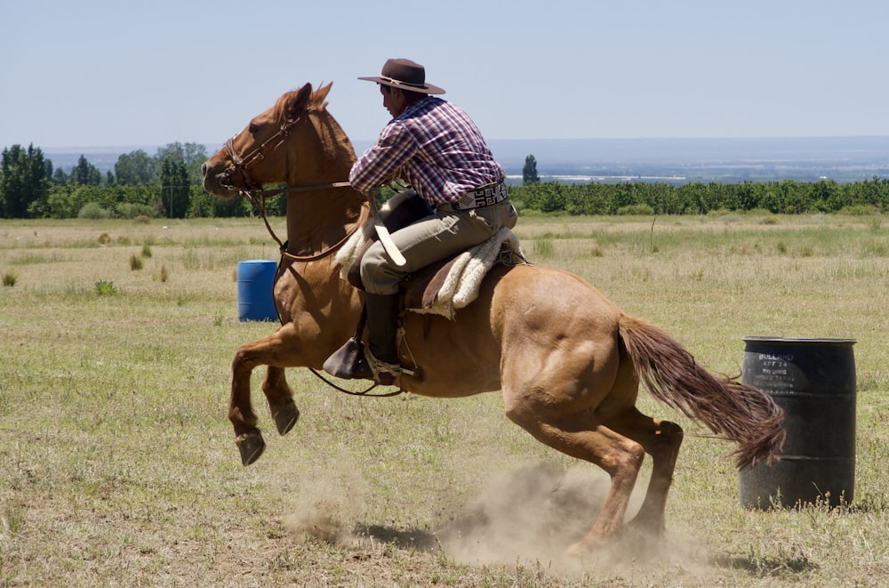 man in blue and white plaid dress shirt riding brown horse during daytime