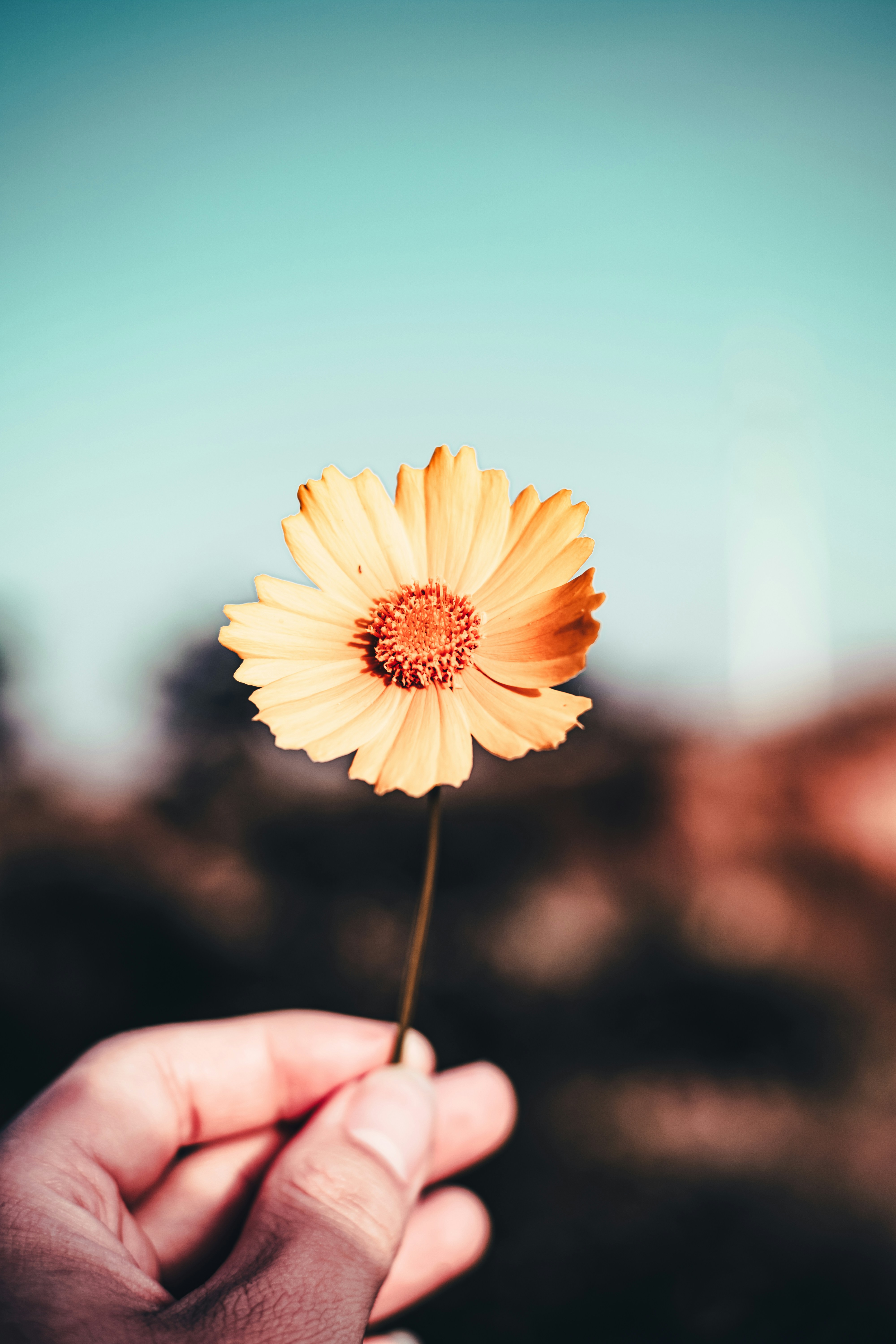 Photo by xiexianghua