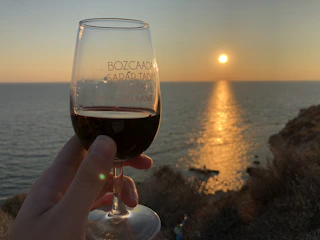Close-up of a hand holding a wine glass with deep amber wine, framed by the soft hues of a lagoon sunset and distant reeds.