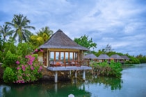 brown wooden house on green water under white clouds during daytime