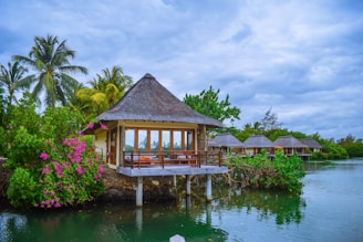 brown wooden house on green water under white clouds during daytime