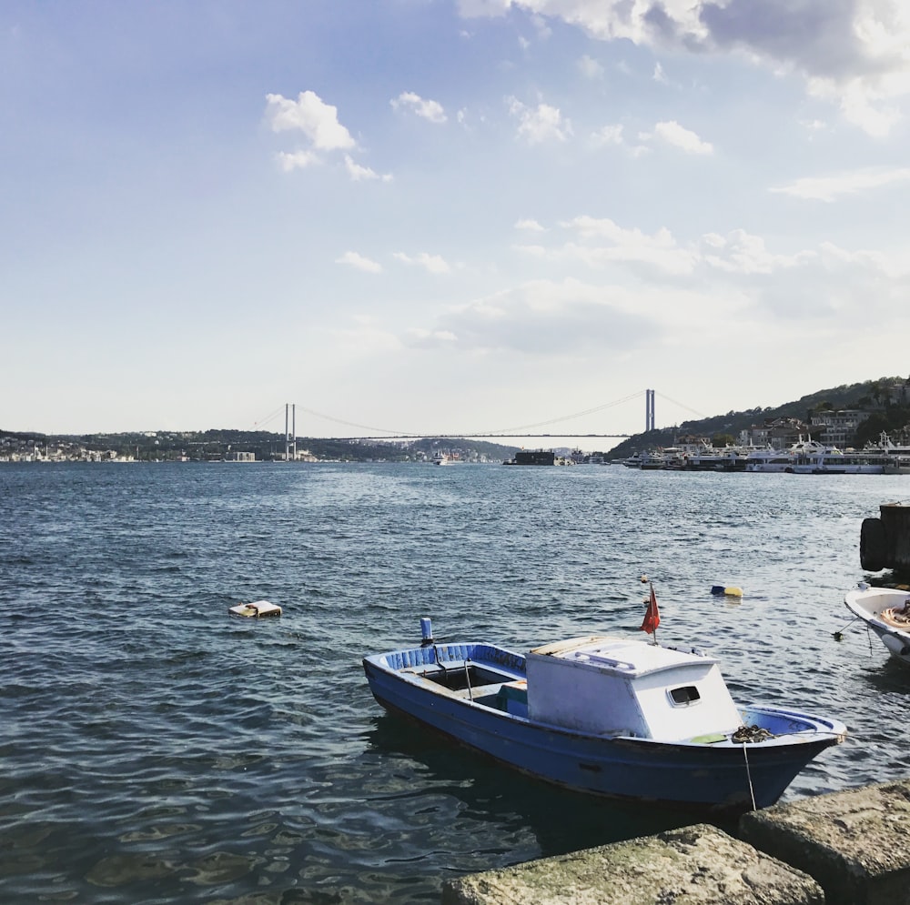 barca bianca e blu in mare durante il giorno